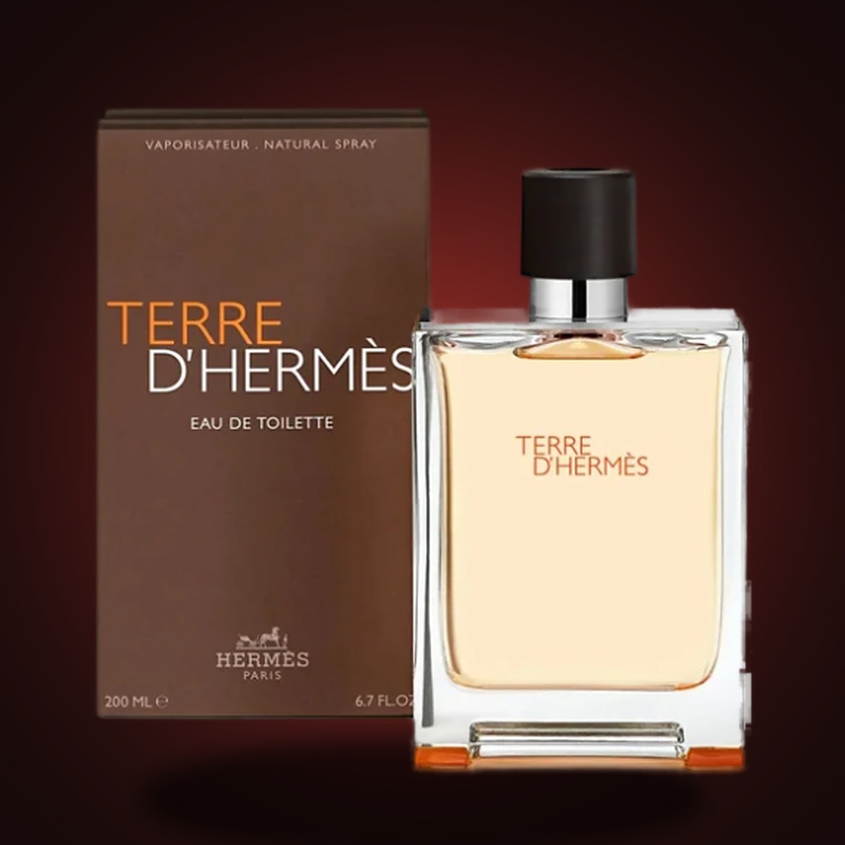 Hermès Terre d'Hermès