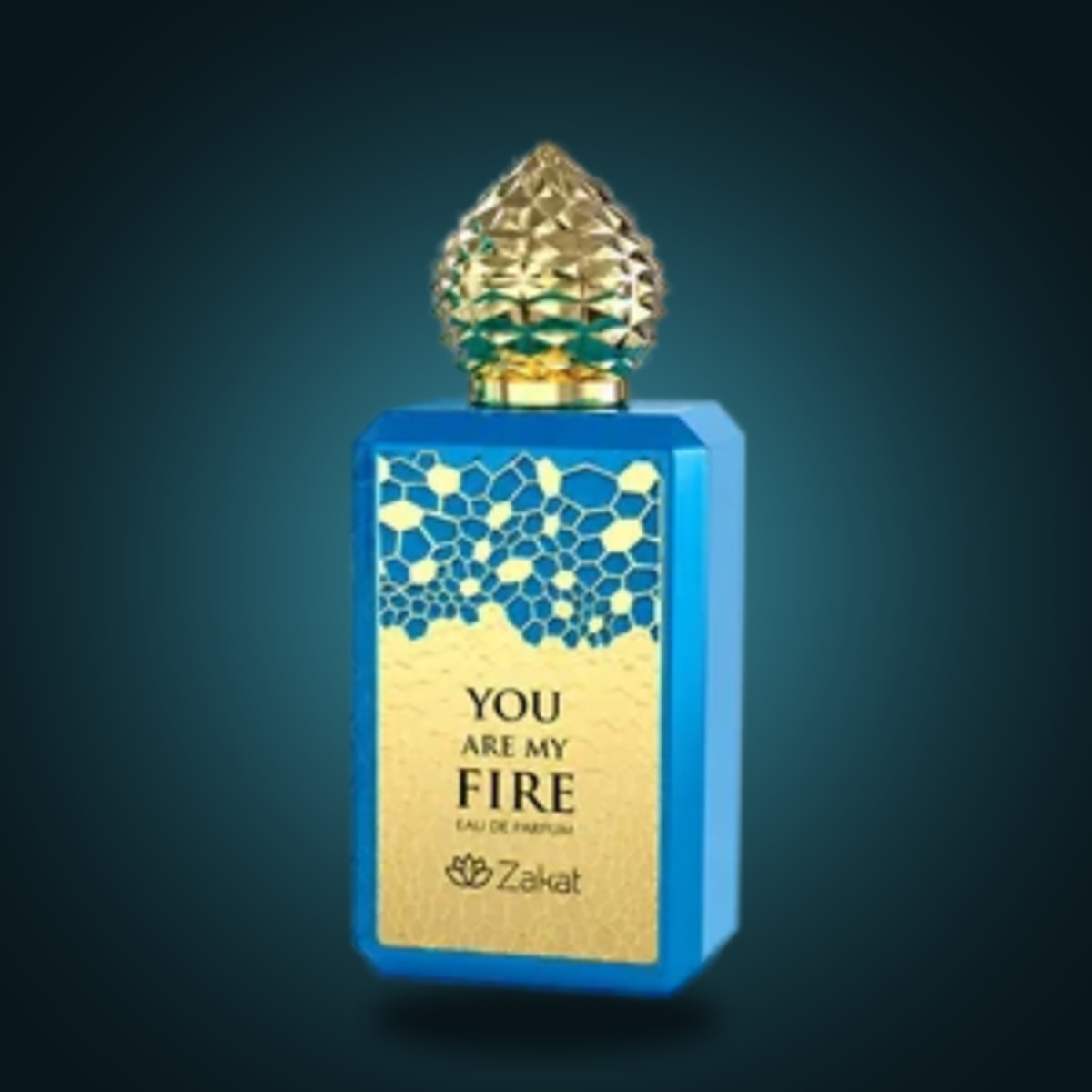 Zakat You Are My Fire